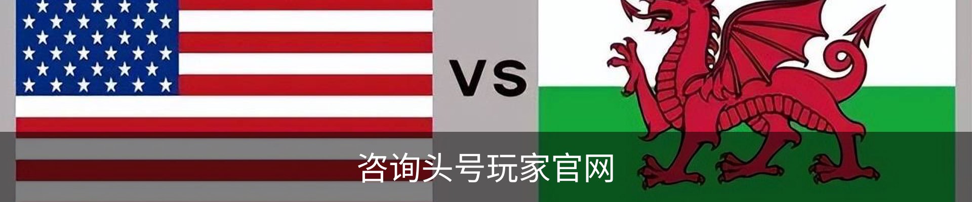 咨询头号玩家官网